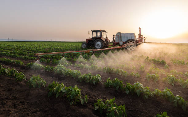Best Wildlife Control Services  in Piedmont, SD