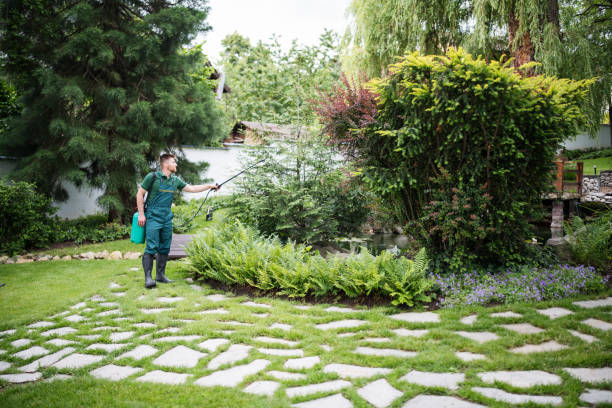 Best Exterminator Services  in Piedmont, SD